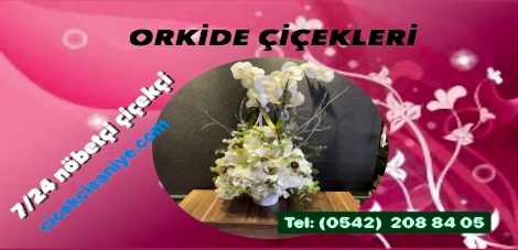 Öğretmenler günü