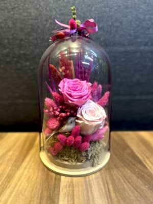 Canlı Solmayan Gül