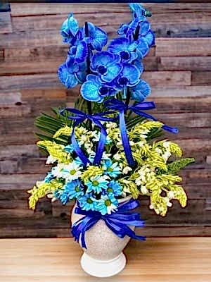 Mavi Aranjman Orkide