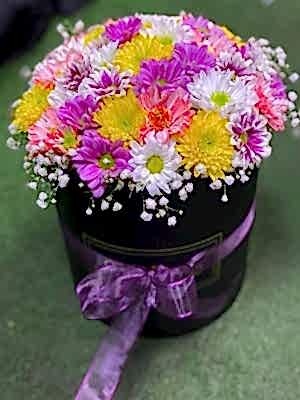 Kutuda Renklerin Aşk Güzeli