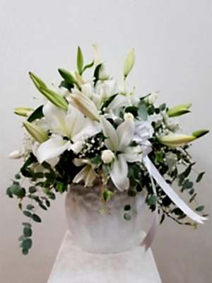 Lilyum Beyazın Asaleti