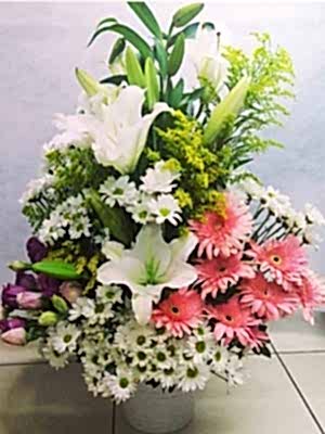 Büyük Boy Masa Çiçeği