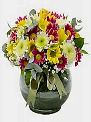 Fanusta Renklerin Aşkı