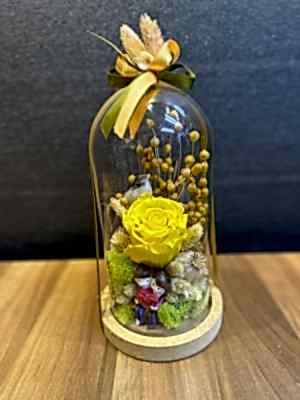 Canlı Solmayan Gül Tek Güllü