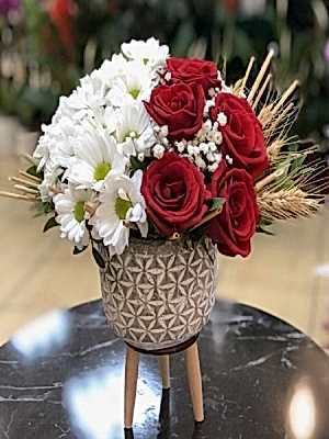 Ayaklı Saksıda Gül Papatya