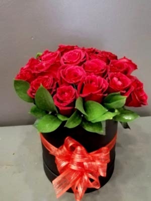 Kutuda Seni Seviyorum