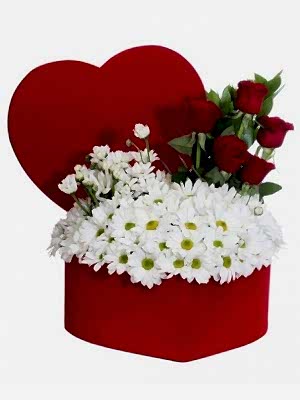 Kutuda Papatya ve Güller