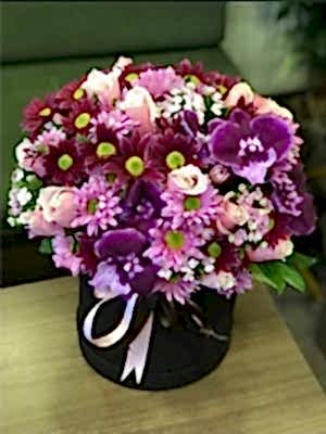 Kutuda Renklerin Aşkı