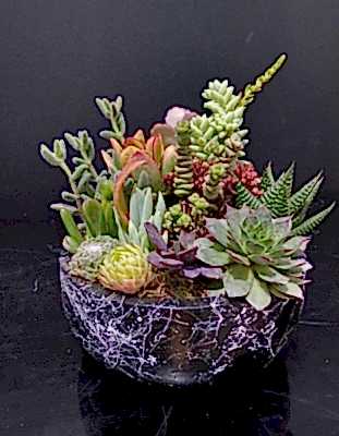 Dekoratif Saksıda Teraryum 4