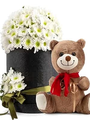 Kutuda Ayıcık ve Papatya