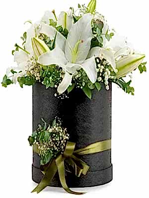 Kutuda Beyaz Lilyum Aranjman